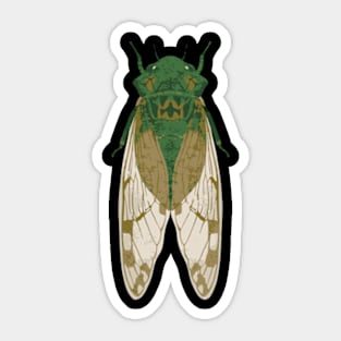 Cicada Insect Great Eastern Brood X USA 2024 Magicicada Sticker